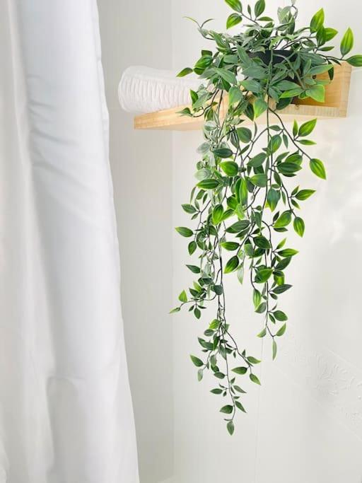 Marisma Home 치클라나 데 라 프론테라 외부 사진
